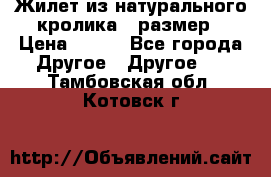 Жилет из натурального кролика,44размер › Цена ­ 500 - Все города Другое » Другое   . Тамбовская обл.,Котовск г.